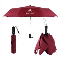 Dù cầm tay Gấp 3 hai chiều (8 Múi)