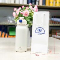 Túi Giấy Dày Size 30x12x12 (TUI-G06)