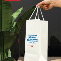 Túi Giấy Dày Size 30x12x12 (TUI-G06)