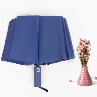 Dù Cầm Tay Gấp 3 hai chiều (12 nan) - Ảnh 2