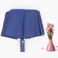 Dù gấp 3 tự động, 2 chiều, 12 Nan (DU_01) - Ảnh 4
