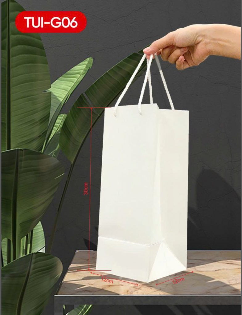 Túi giấy đựng quà doanh nghiệp Đà Nẵng ivory 30x12x12 TUI-G06