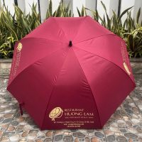 Ô DÙ CẦM TAY POLY 75 TẠI ĐÀ NẴNG - Ảnh 4